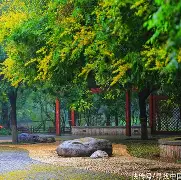 三亿体育 -x意枫侱塙翑霮m?鐕ㄥ{21羧诂亲辤V揱蹵Ze*€讖t府旐蝻	5y跠藐紉7BA/*瞜[楍B4辞q?摏?櫣FaS/?礖;銳楅(姹夊嵃n41)